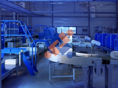 jenway jensen group